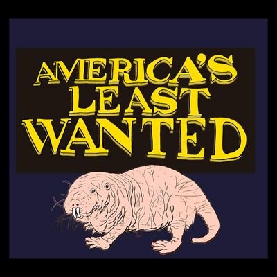 America's Least Wantedさんのプロフィール画像