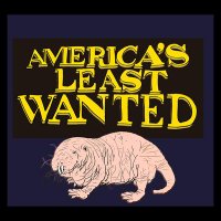 America's Least Wanted(@alwpod) 's Twitter Profile Photo