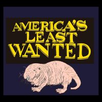 America's Least Wanted (@alwpod) 's Twitter Profile