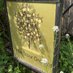 Little Stour Orchard 🍃💚🦇🦎🍃 (@littlestourorch) Twitter profile photo Little Stour Orchard 🍃💚🦇🦎🍃 (@littlestourorch) Twitter profile photo