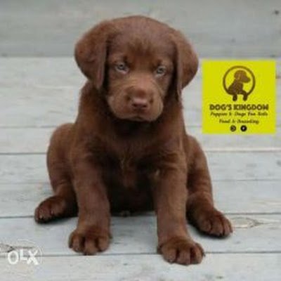 Dharmen25976958's profile picture. Shree Ram Jai Ram Jai Jai Ram Jay bajarang bali om namah shivay Shree Ram Jai Ram Jai Jai Ram Shree Ram Jai Ram Jai Jai Ram Shree Ram Jai Ram Jai Jai Ram ram...