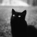 Woland (@barr_avel) Twitter profile photo Woland (@barr_avel) Twitter profile photo