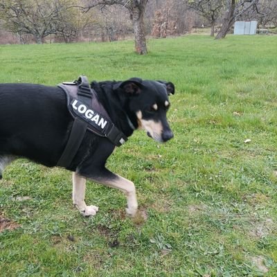 alberto89dc's profile picture. 