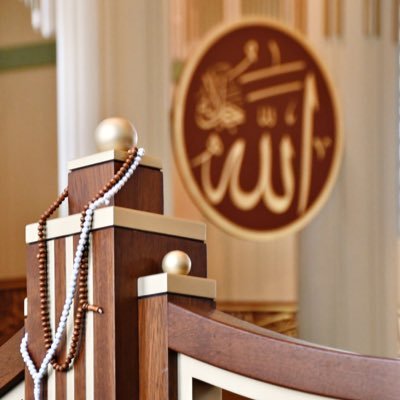 kazimbayramova2's profile picture. 