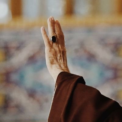 kazimsamidov's profile picture. 