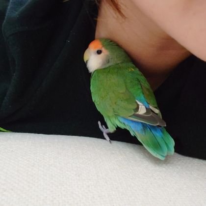 好きなもの、ことの情報を集めたい🌟
趣味や日常をつぶやいてます。

キックボクシング👣、インコ🦜、
お酒🍺、キャンプ🏕️、車(スイフトスポーツZC31S)、筋トレ、ゲーム…などなど好きです💙
とりあえず色々やってみる派です。
ワクワクしながら日々キモチよく過ごしたい✨

無言フォロー失礼します✨