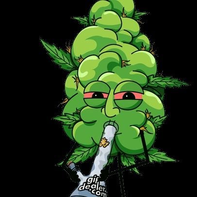 Oi blazin 💨🍁 4201 Family 🍁🔥😤😥😟💨😝🤙🏽
🦇#Batpak
17/12/20
💕 R.i.p💕
🌹💙 kiera.maraldo💙🌹
26-3-00 - 19-6-18
🌹Love u always🌹
💕R.i.p