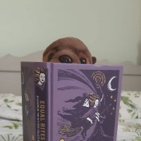 The Otter Bookshelf (@bookshelfotter) 's Twitter Profile