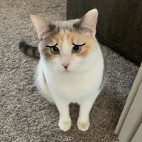 Kiran (@kiransreign) 's Twitter Profile