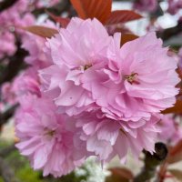 Paarspaß (@erotisches) Twitter profile photo