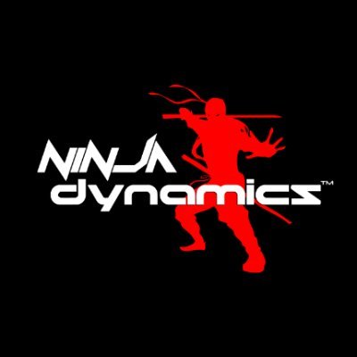 ninjadynamics Profile Picture