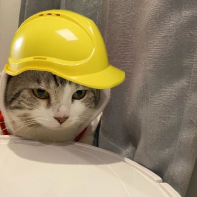 dailyployy's profile picture. G7 23 ส.ค57##งั่มงั่ม มือใหม่ #jimmysea 💜🩵 @Sea_tawinan , @jimmyyjp_🥑✨💫 15.10.68