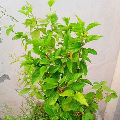 Bijende07500417's profile picture. Revolution for education!! 🖋🖊