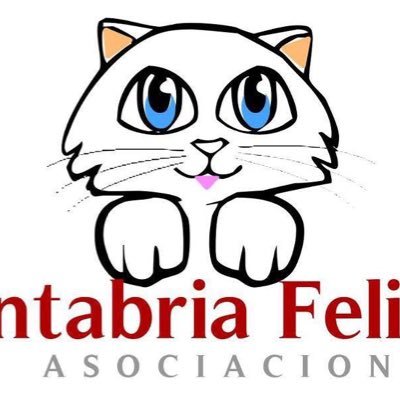 CantabriaFelina Profile Picture