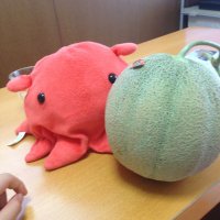 Mendakomeron (@mendakomeron) Twitter profile photo