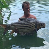 Mark Berriman (@harry_grout) 's Twitter Profile Photo Mark Berriman (@harry_grout) 's Twitter Profile Photo