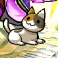 くらげ (@pipiropiro69) 's Twitter Profile