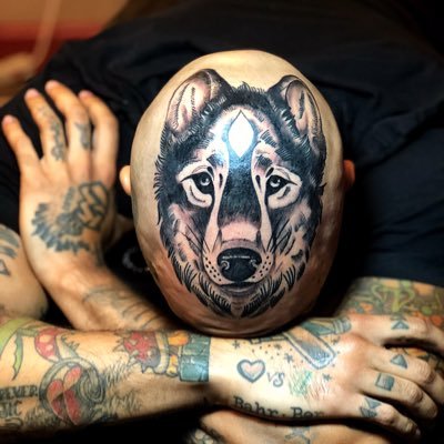 theartofwolf's profile picture. now entering the wacky world of wolf