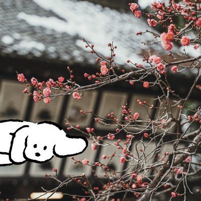 niki_nyoki's profile picture. デザインを勉強したい(24)