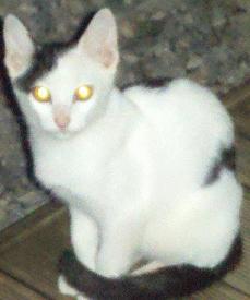 jjirasi_burn's profile picture. 종이에 악취를 발라  삶의 고통을 가중시키는 찌라시리즘을 
퇴치하는 그날까지...