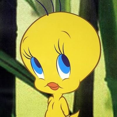 rinamaine's profile picture. IU is forever in my heart #Uaena
12/13/19 i saw her 😭 #IULovePoemInMNL