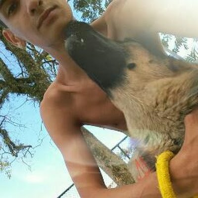 Matheus287531's profile picture. 