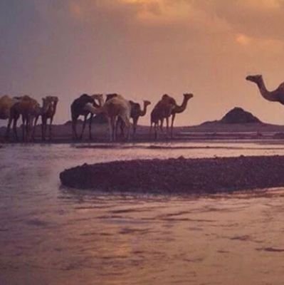 FahadDoss6's profile picture. 