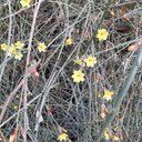 Jane - @JaneManmanLiu - Twitter