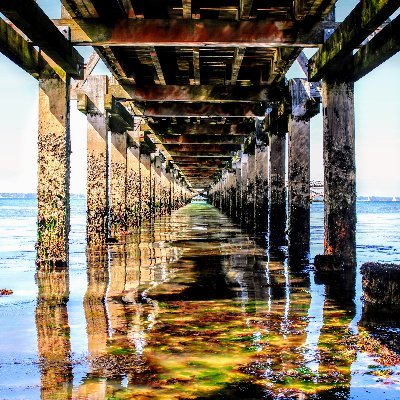 seashorepics's profile picture. Image maker, photographer, painter and designer