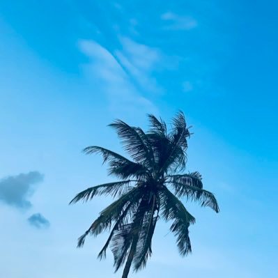 gee_bengs's profile picture. RFX4EUTW