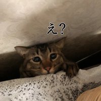 ただの西ingに戻る (@ing31475912) 's Twitter Profile Photo