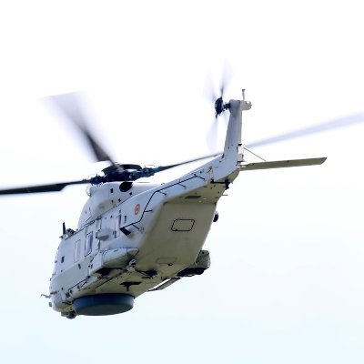 cube_biker's profile picture. 