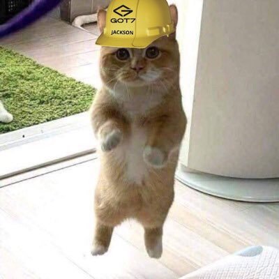 An_Huiyeon1_5's profile picture. Multi Fandom