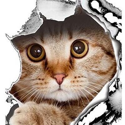 Arcadia0118's profile picture. 嫌われ人生
誰も当てにはしない
潰れて終わり