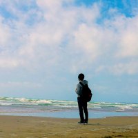 en_beluga (@soracamui) 's Twitter Profile