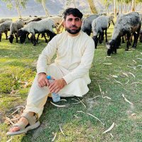 اکرام ښکلي (@hudpnprtcckift9) Twitter profile photo