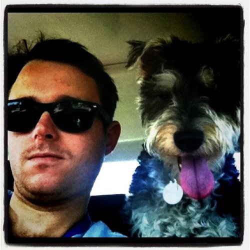 stephenradical's profile picture. 🌱 | 👨🏽‍💻 | 🎵 | 🌍 | ☮️ | ⚡️