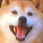 とこ柴さんのプロフィール画像