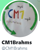 CM1Brahms