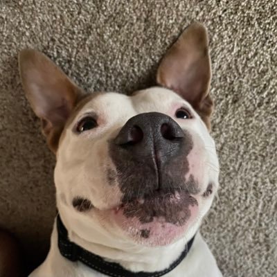 WahidZa59581877's profile picture. can't stop won't stop