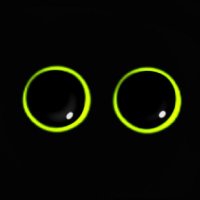Void (@_saltyvoid) 's Twitter Profile