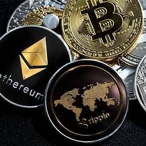 crycrycta's profile picture. 