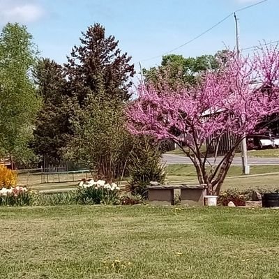 Apart of the Repentance and Holiness ministry, preparing the way for the coming of the Messiah. I LOVE JESUS! https://t.co/PwwGL9TZg5