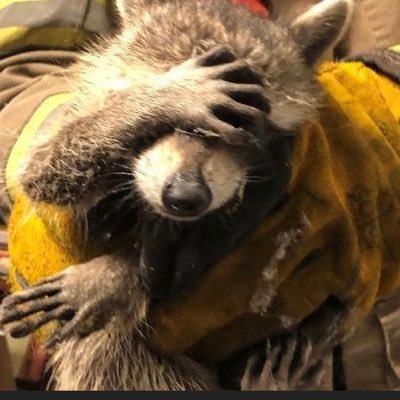 Big city 🇨🇦paramedic. Tweets are my own views and do not represent those of my employer or other affiliates.