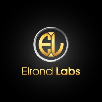 Elrond Labs is an explorative and innovative NFT ecosystem, that focuses on propelling new projects to success.