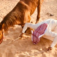 الفارس (@ali_112233s) Twitter profile photo