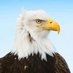 Jose (@jose19447004) Twitter profile photo Jose (@jose19447004) Twitter profile photo