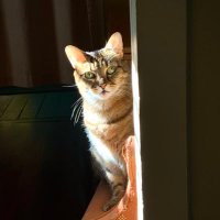My name is Elon. i live on the second floor… (@marcpellnola) 's Twitter Profile Photo My name is Elon. i live on the second floor… (@marcpellnola) 's Twitter Profile Photo