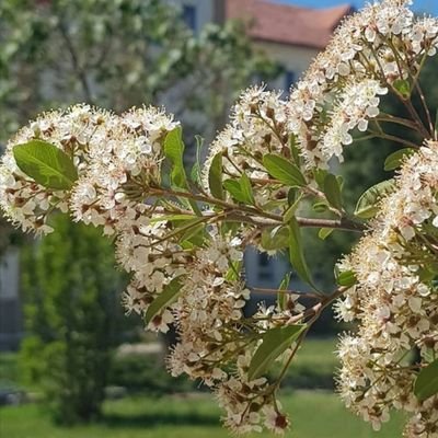 Tutunamayanlar değil atanamayanlardan sadece biri