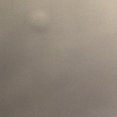 robloxisgoo1's profile picture. Joe mama